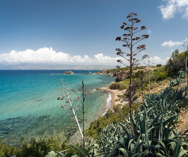 01H2Z84BAZEN5JTG1RPSBCPXR3_l