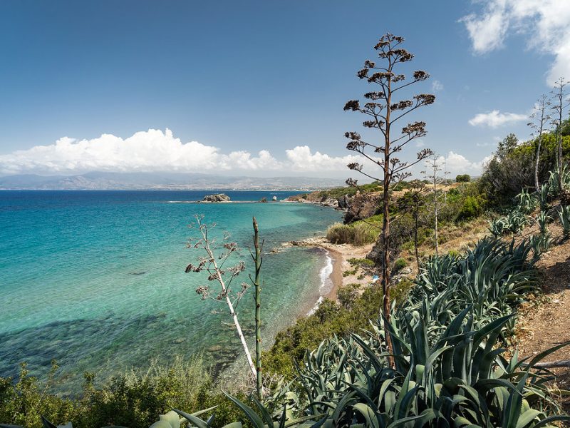 01H2Z84BAZEN5JTG1RPSBCPXR3_l