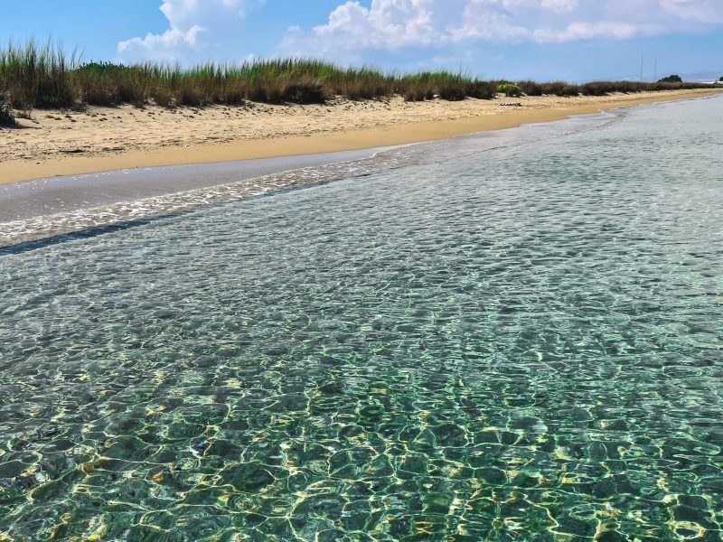 7C930E95-0A04-46ED-A2A3-A125E66AC5F8