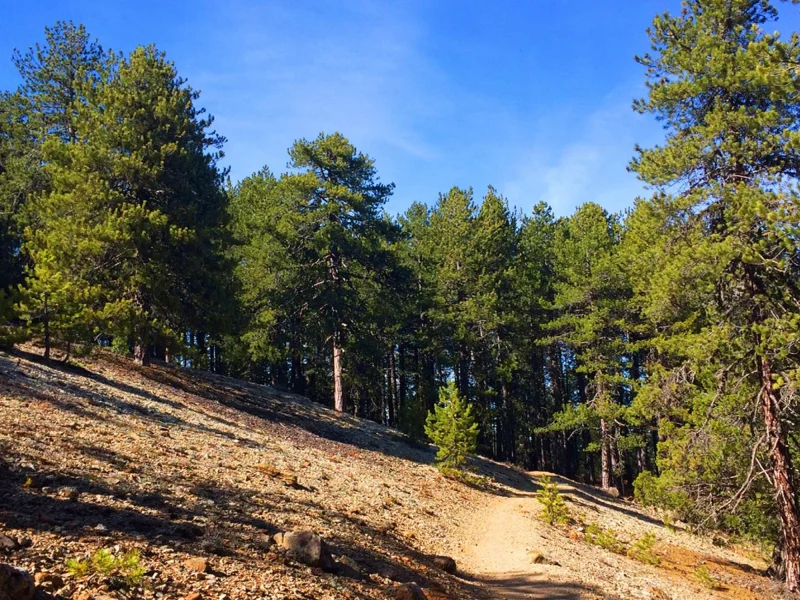 Best hikes Cyprus - Troodos 2
