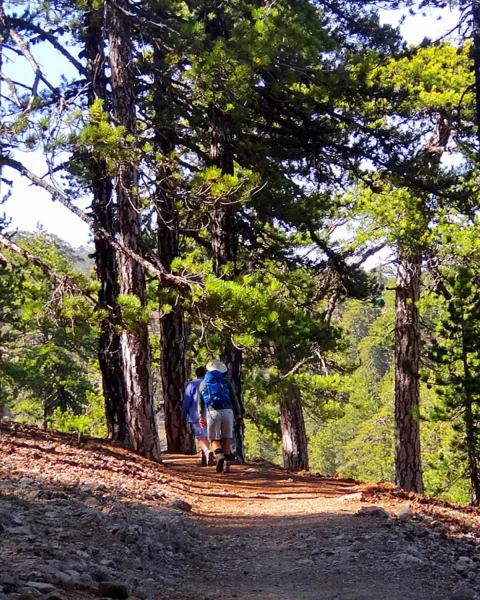 Best hikes Cyprus - Troodos 3
