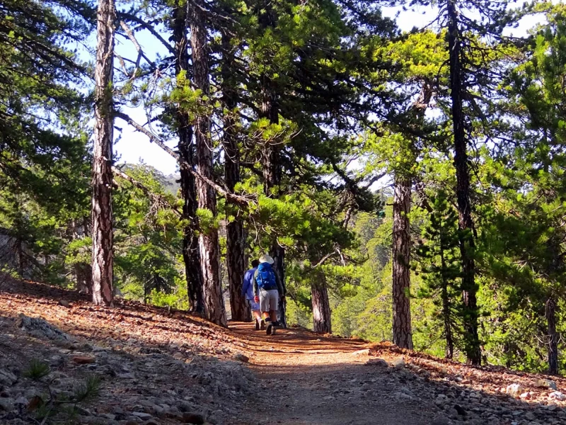Best hikes Cyprus - Troodos 3