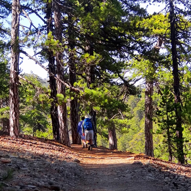 Best hikes Cyprus - Troodos 3
