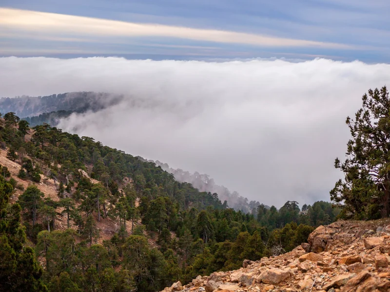 Best hikes Cyprus - Troodos