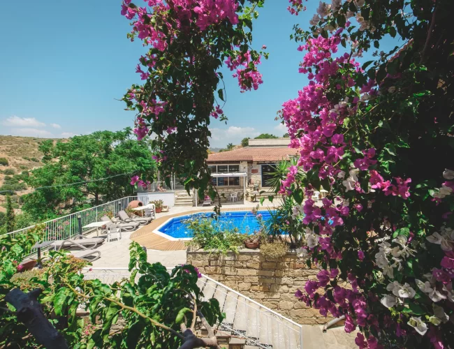 Adamos holiday apartments cyprus