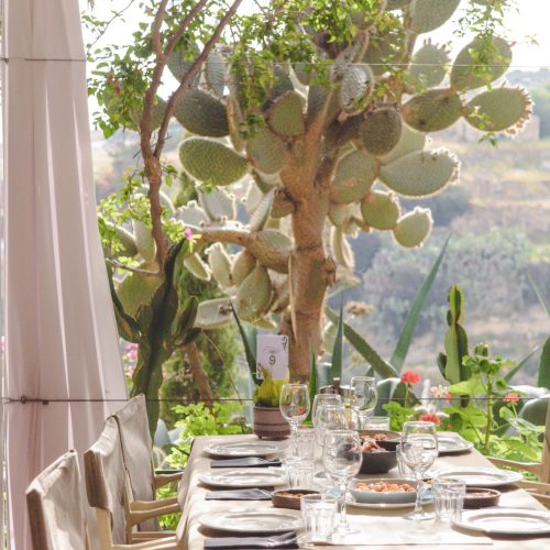 PHOTOS D'ALIMENTS 2025-067