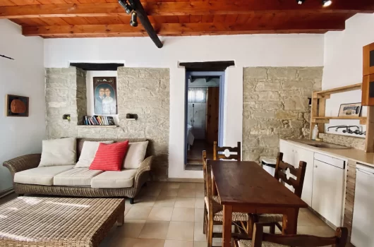 Vasilikos house Tochni