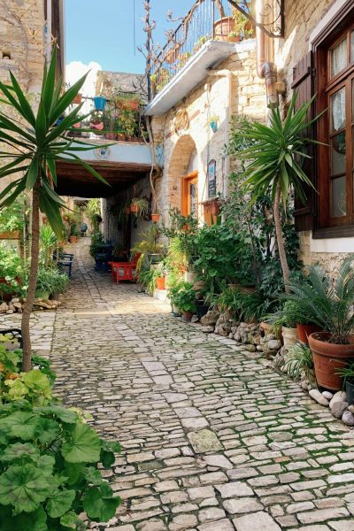Zypern urlaub - Cyprus Holidays - Cyprus Villages Agrotourism 15