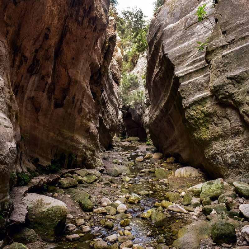 cyprus-akamas-avakas-gorge-5401989