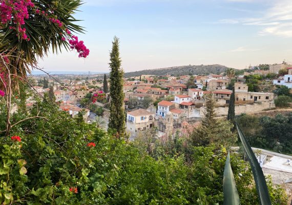 datingjungle-kC7r6LiHZdg-unsplash